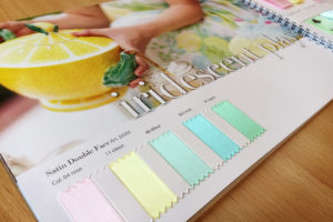 Trendbook Spring Summer 2018