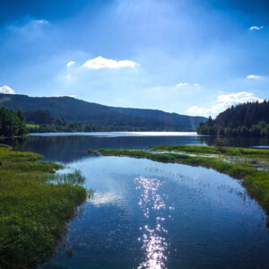 Schluchsee